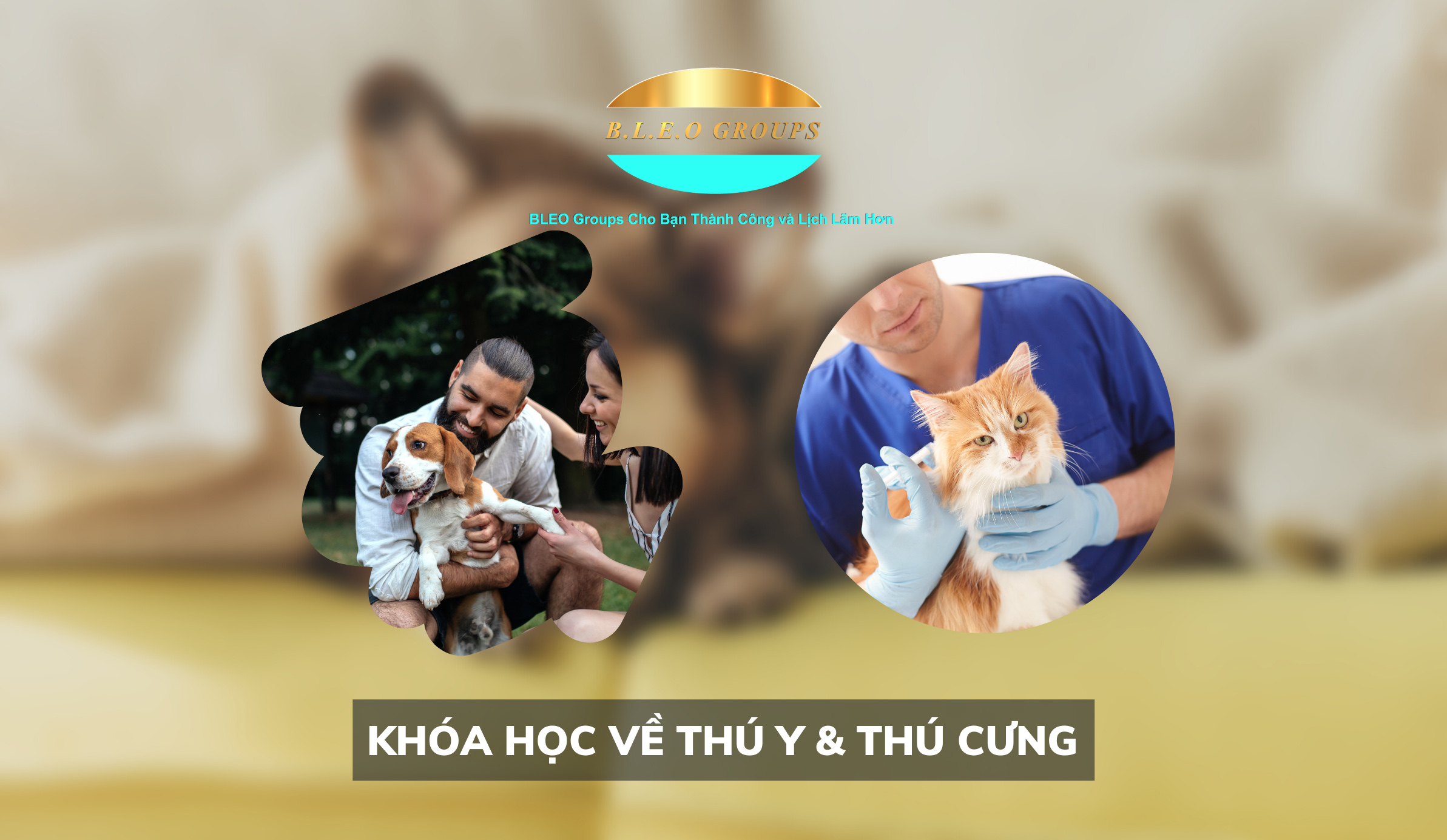 Khóa học thú y & thú cưng