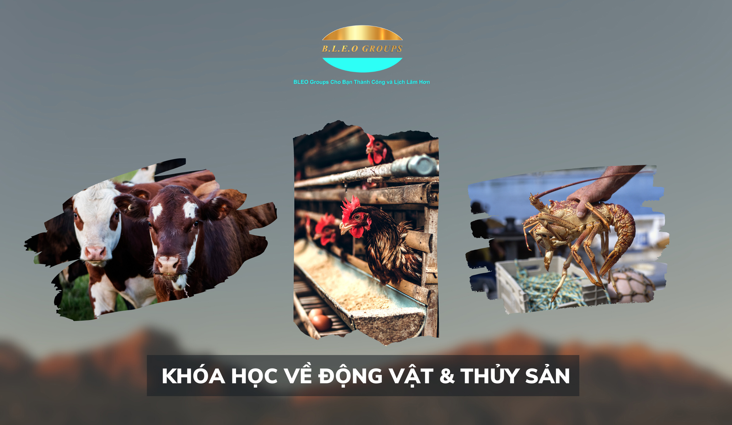 Khóa học về động vật & thủy sản