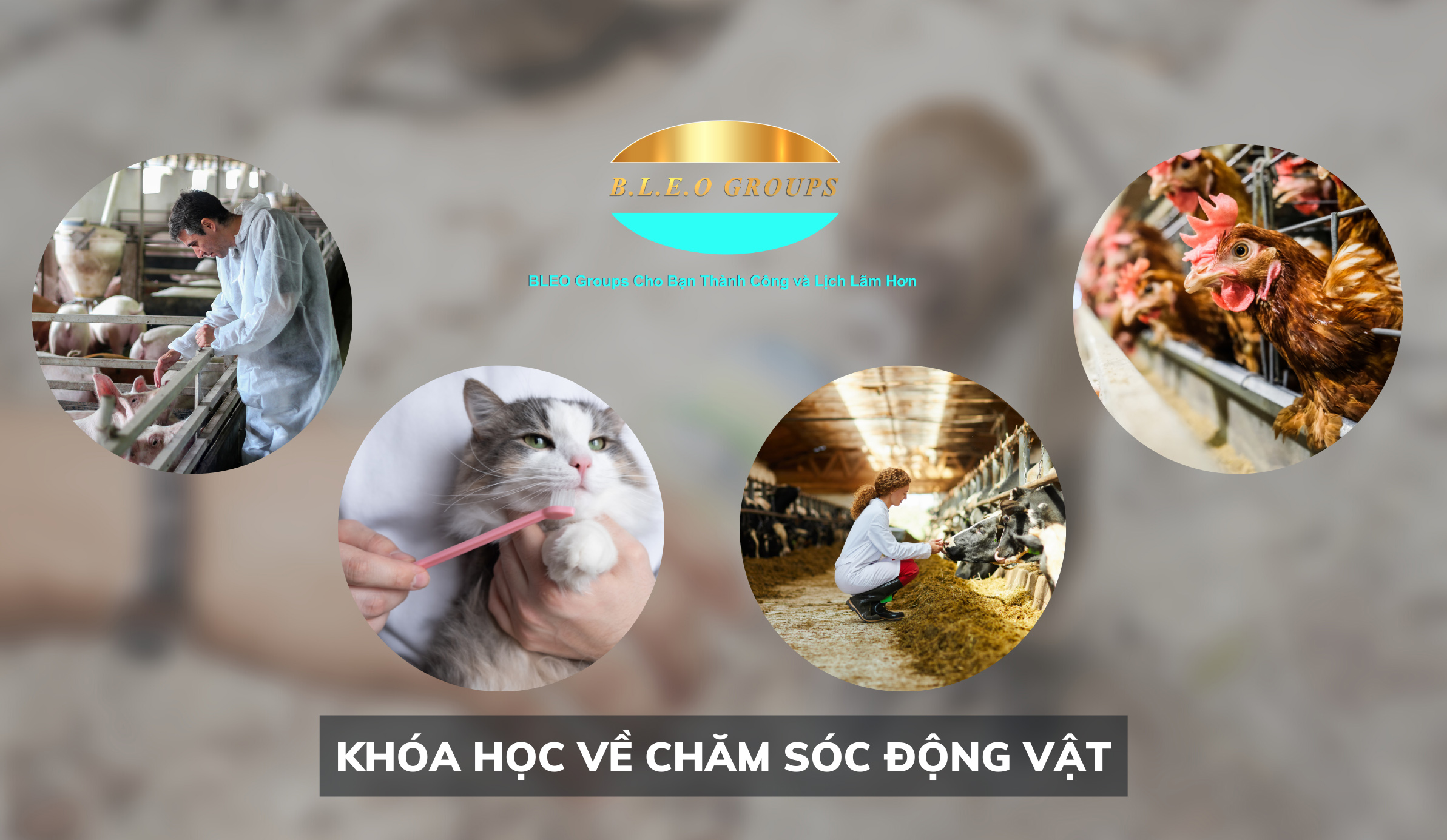 Khóa học chăm sóc động vật