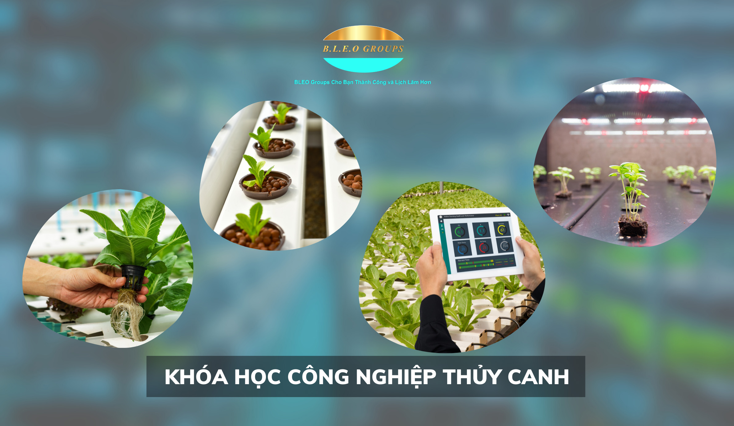 Khóa học nông nghiệp thủy canh