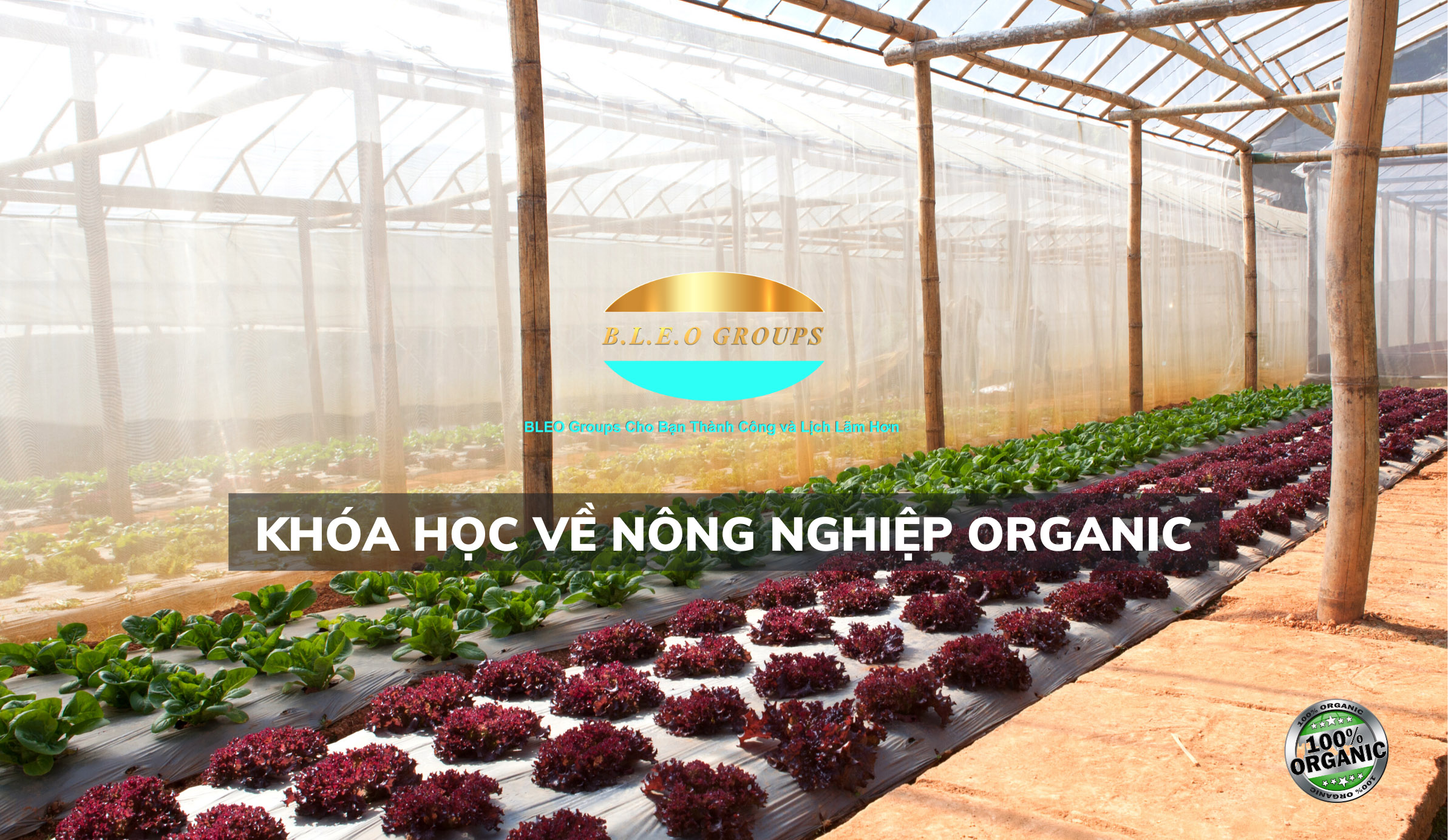 Khóa học về nông nghiệp Organic 