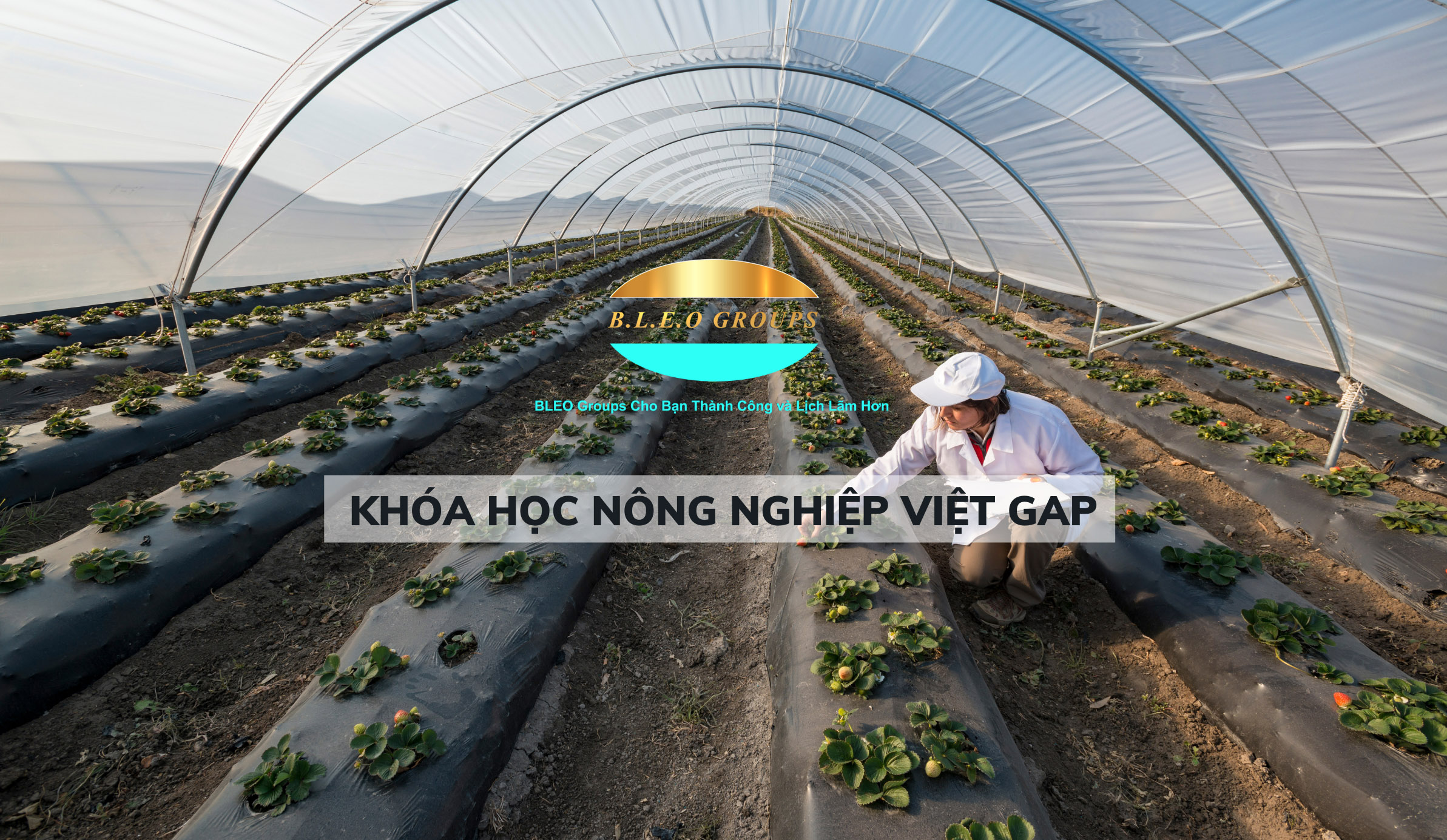 Khóa học nông nghiệp Việt Gap